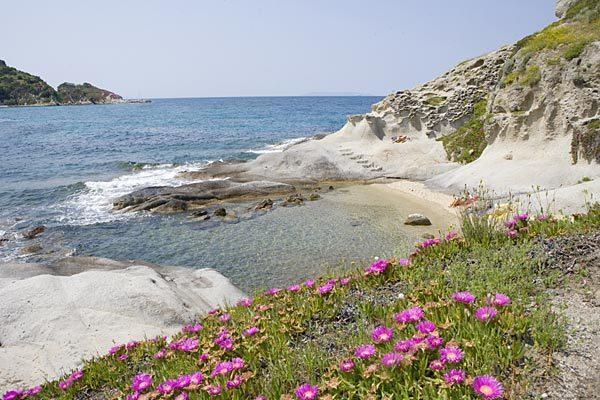 B & B Summer Marciana  Eksteriør billede