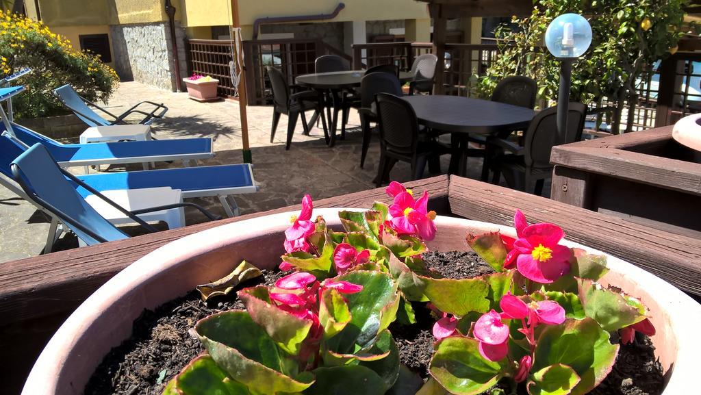 B & B Summer Marciana  Eksteriør billede