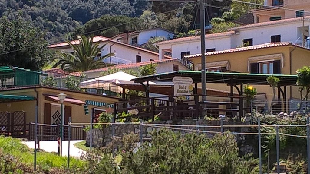B & B Summer Marciana  Eksteriør billede